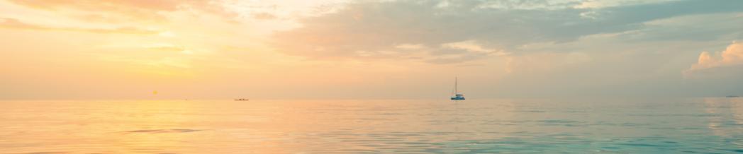 oer-banner-2020