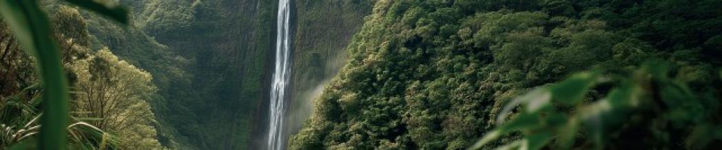 Chiffres clés (FR) visuel 2024