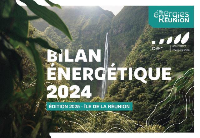 BER 2024 - Edition 2025