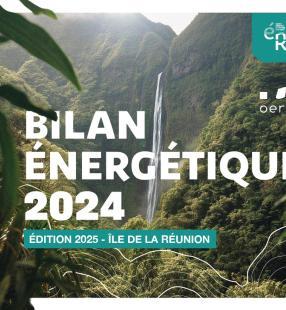 BER 2024 - Edition 2025